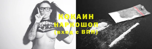 крисы Надым